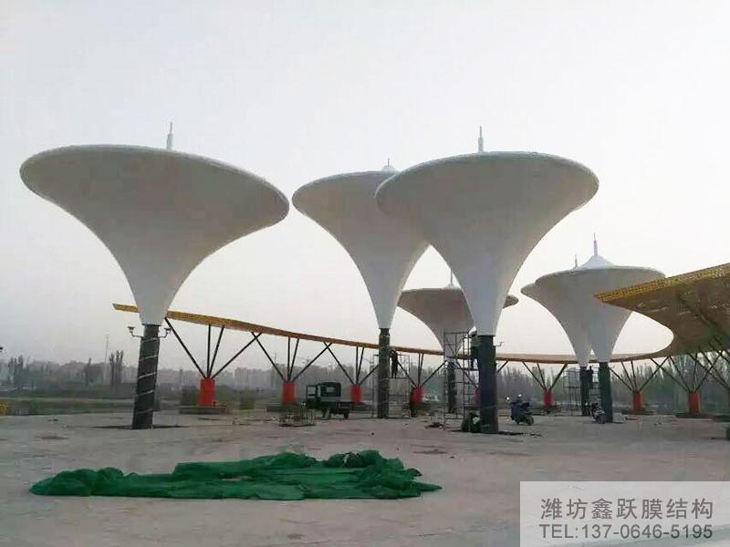 景观膜结构